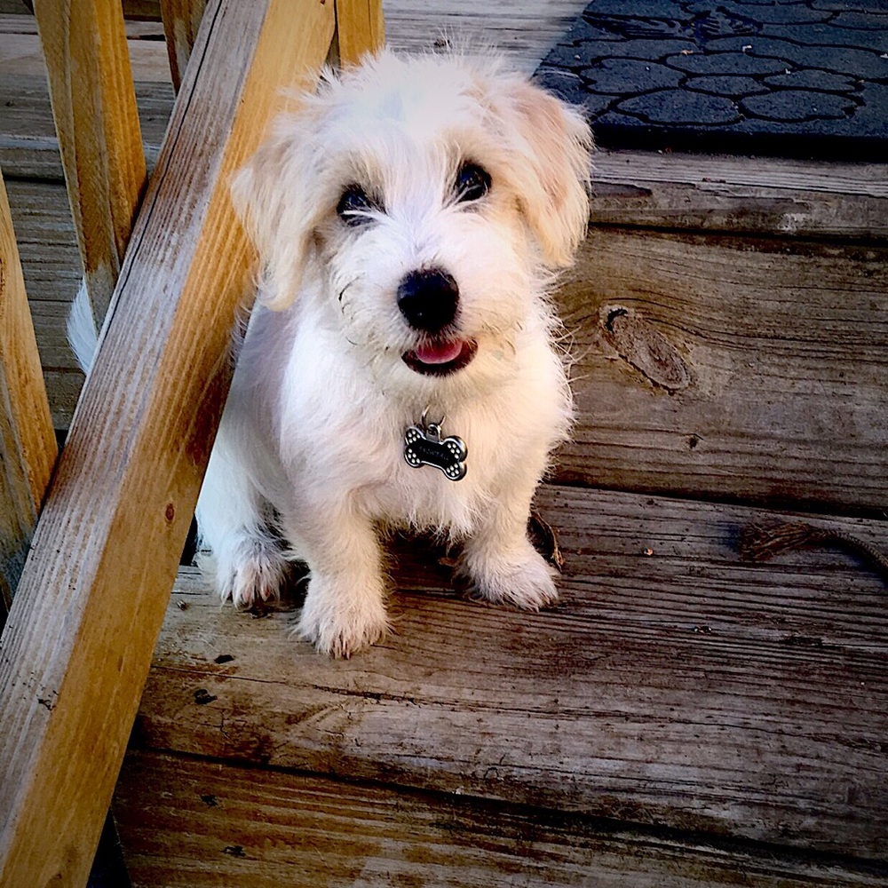 Meet your Posher, Madelyn